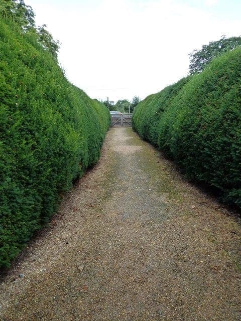 Brandeston