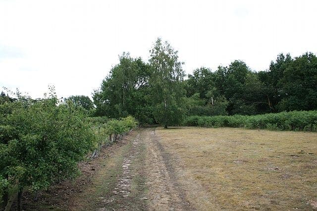 Bromeswell