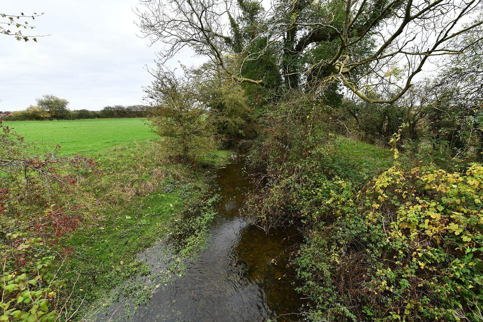Heywood