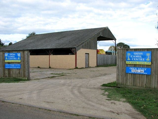 Linstead Magna