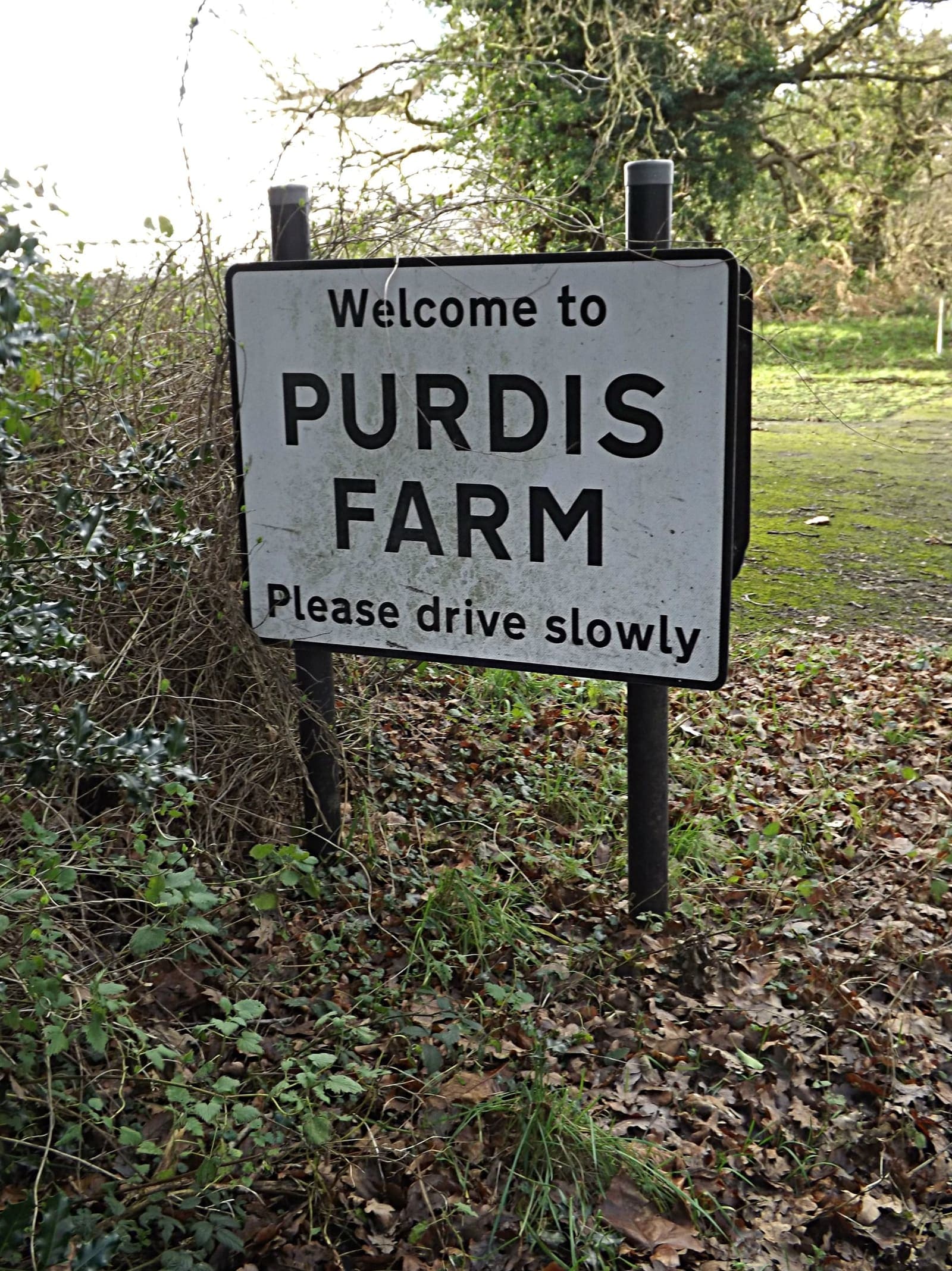 Purdis Farm