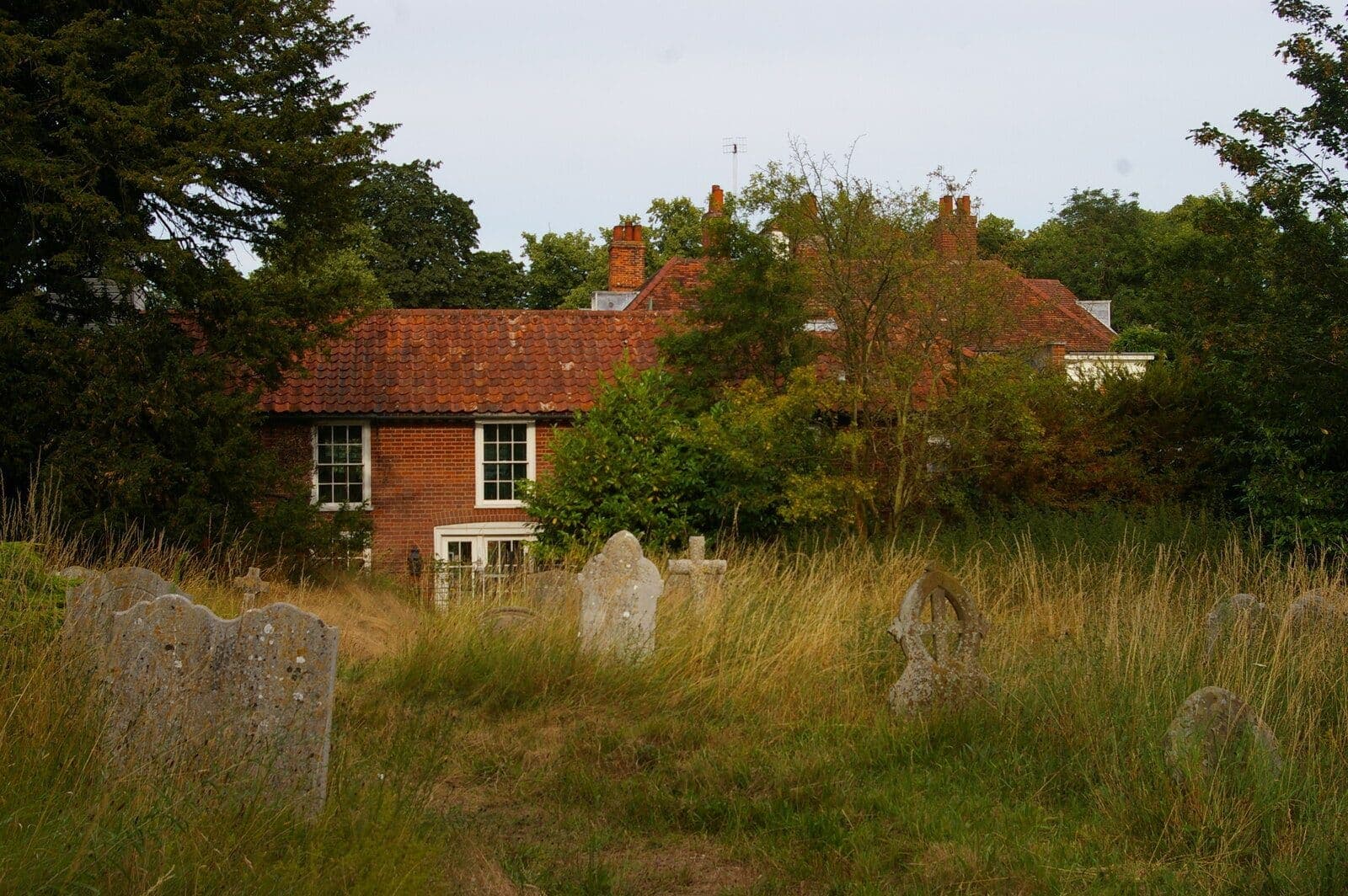 Sternfield