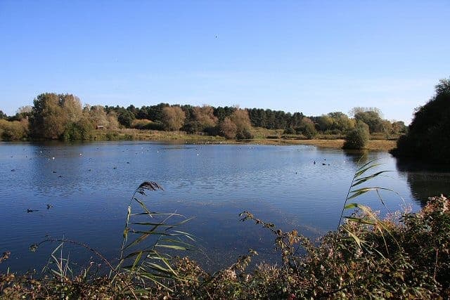 Lackford