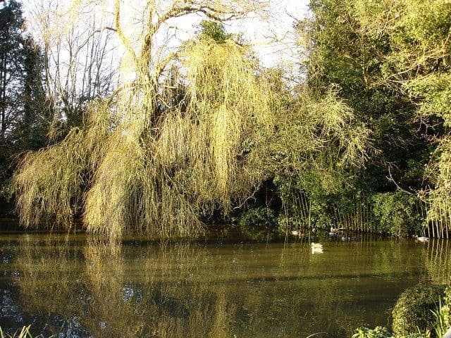 Rushmere St Andrew